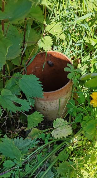 NA PREDAJ _stavebný pozemok_Národný park_ Színpetri