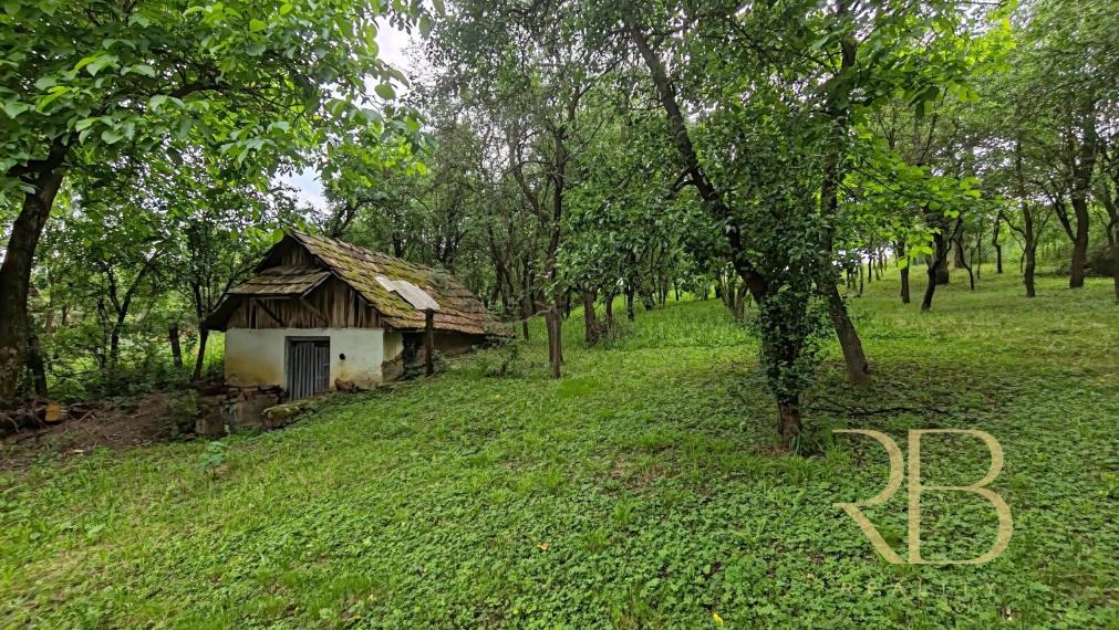 NA PREDAJ_ tradičný vidiecky dom_  pozemok 2172 m²_Martonyi_
