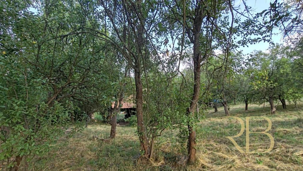NA PREDAJ _ RD _ pozemok 7600m²_ Felsőtelekes Maďarsko