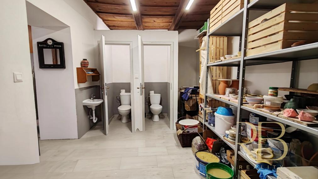 NA PREDAJ _ 3.iz.RD s ateliérom a ďalším zázemím _ Drienovec