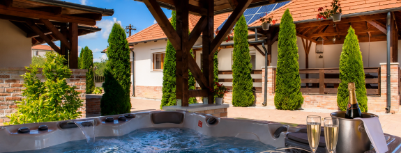 NA PREDAJ _ Penzión s wellness zónou pri jazere_ Meszes